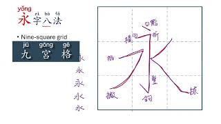 【MULTI SUB】Unlocking Chinese Characters 02: Master the Basics: The Eight Chinese Strokes & 永字八法