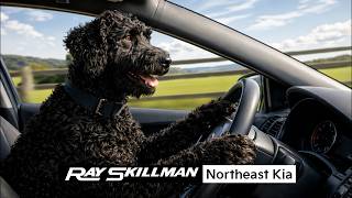 Oscar! - Ray Skillman Northeast Kia!