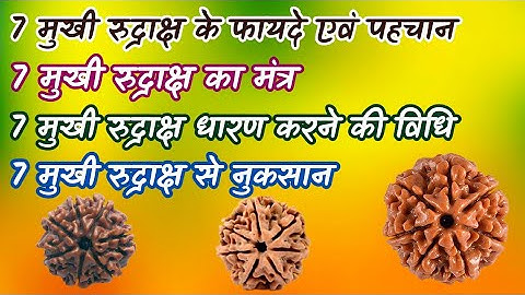 7 मुखी रुद्राक्ष के फायदे | 7 मुखी रुद्राक्ष धारण करने की विधि | 7 Mukhi Rudraksha Mantra |