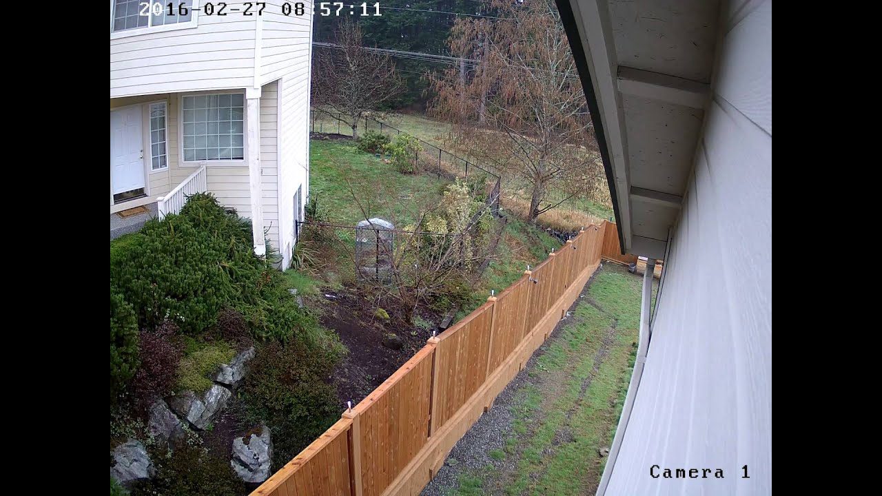 backyard security camera