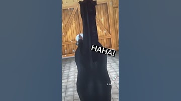 Just call my name….| sso