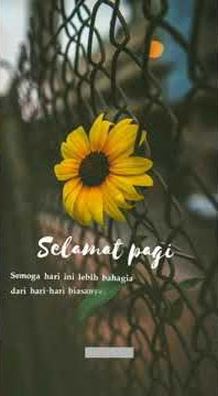 Story wa santuy di siang hari || story wa kekinian