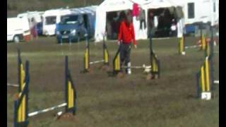 uka easter rico begineers jumping