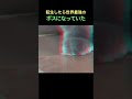 最強のボスが降臨した