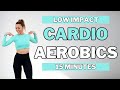 🔥15 Min CARDIO AEROBICS for WEIGHT LOSS🔥FUN SWEATY HOME WORKOUT🔥KNEE FRIENDLY🔥NO JUMPING🔥NO REPEATS🔥