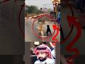 لحظات تحبس الأنفاس كيف تفاعلت الحيوانات عند ظهور فهد مفاجئ عالم الحيوان الحياة البرية فهد وثائقي