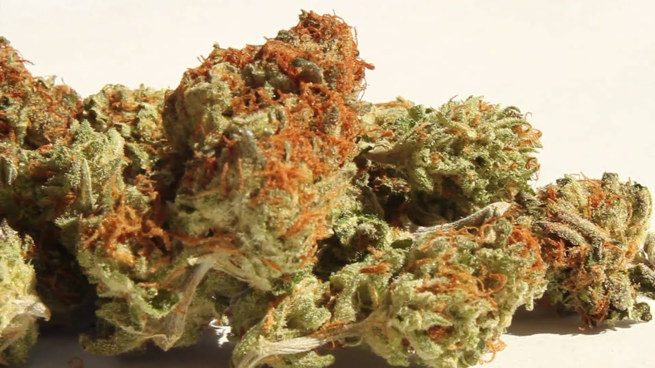 Kryptonite Cannabis Medical Grade Weed High Def 1080p YouTube