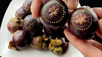 Khi Mua Măng Cụt Chọn Quả Đực Hay Quả Cái Ngon Hơn / Lão Nông Mách Tôi Cách Chọn Loại Ngon Nhất