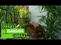 Problem patches  garden  great home ideas