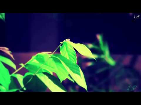 اغاني عراقيه 2016 دنيا حلوه و ناس مره