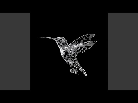 f. fin - colibri. (Demo)