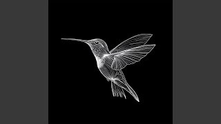 colibri. (Demo) - f. fin