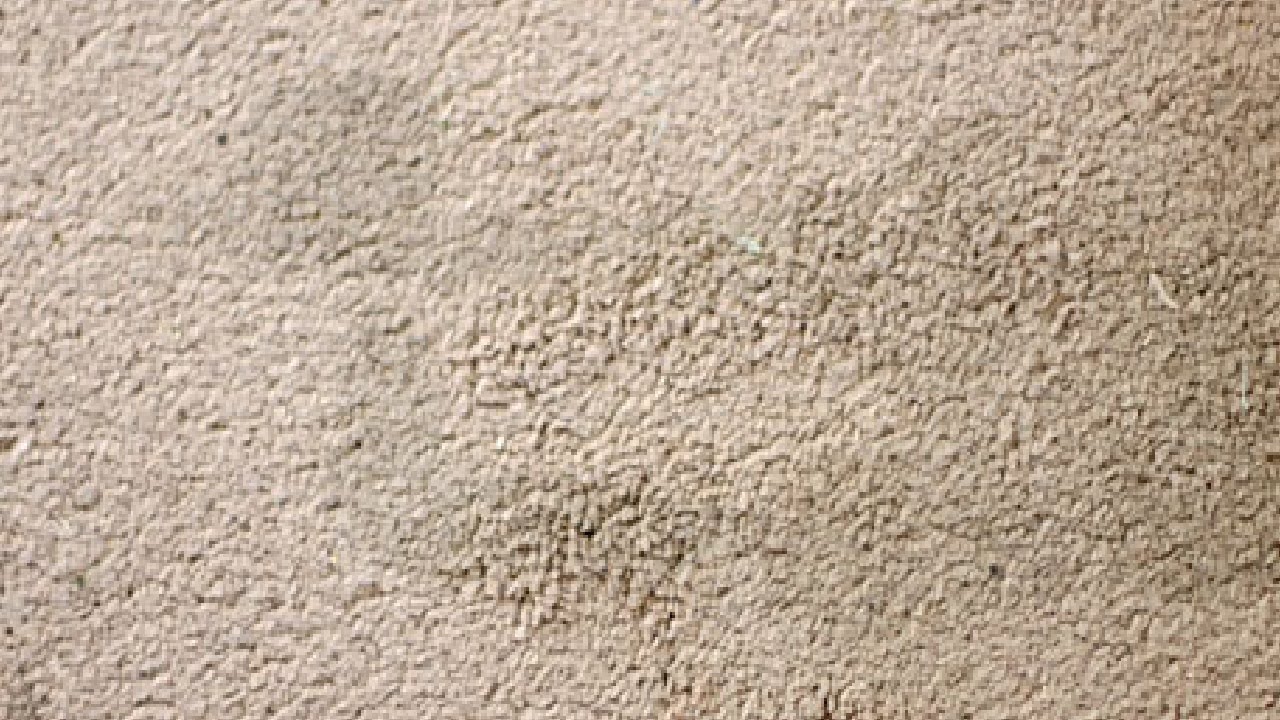 how to get rid of animal urine smell in carpet YouTube
