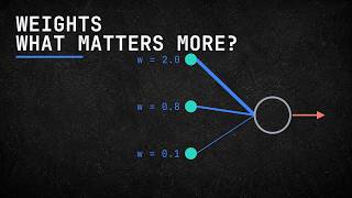 Neural Network Weights Explained | How a Neuron Learns Importance