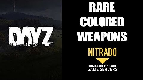 How To Spawn In Rare & Colored Loot Weapons & Secret Items DAYZ Nitrado Private Server Xbox PS4