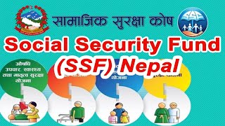 सामाजिक सुरक्षा काेष | Social Security Fund #ssf #nepal #nepali #nepalishorts #youtubeshorts