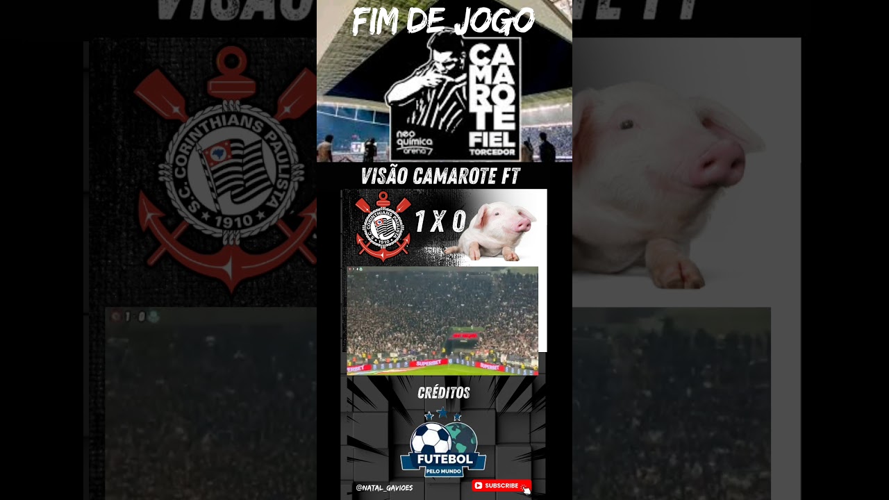 por :@canalfutebolpelomundo visão do #gavião #camarote #fieltorcedor barulho insurdecedor ✊🏽🦅