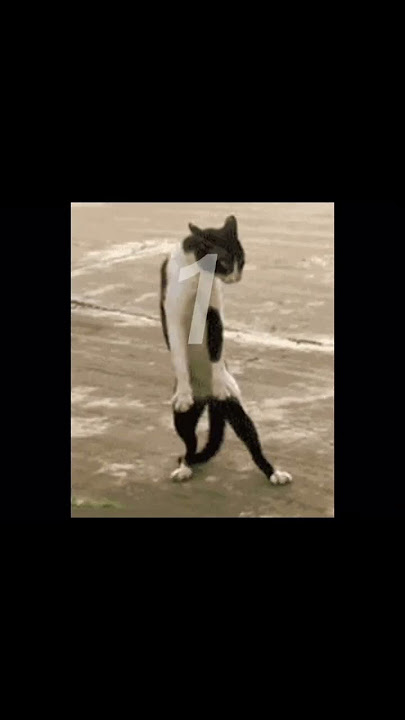 Proof that not everything can be a album cover #memes