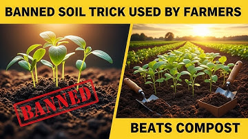 Why This BANNED 1800s Soil Trick (Used By Farmers) Still Outgrows Compost