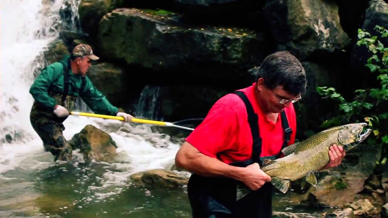 Owen Sound Salmon Tour YouTube