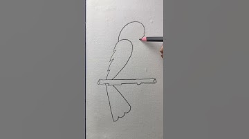 How to draw a bird with number 2