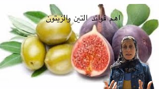 التين و الزيتون / ما هو  الميتالوثاينين و ڤيتامين ب 6