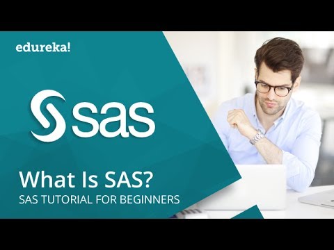 Video: Wat is het SAS-model?