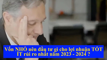 ☑️Vốn nhỏ nên đầu tư gì cho lợi nhuận tốt, ít rủi ro nhất năm 2023 - 2024 ❓