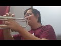 100 Subscribers / Trumpet Cover (i&#39;m loving your vibe by xavier goodman melody)