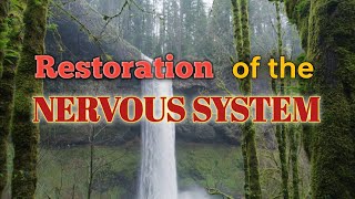 The Best Celtic Mystique Music For Deep Relaxation/Gentle Music Calms the Nervous System/'Xenodochy' screenshot 5