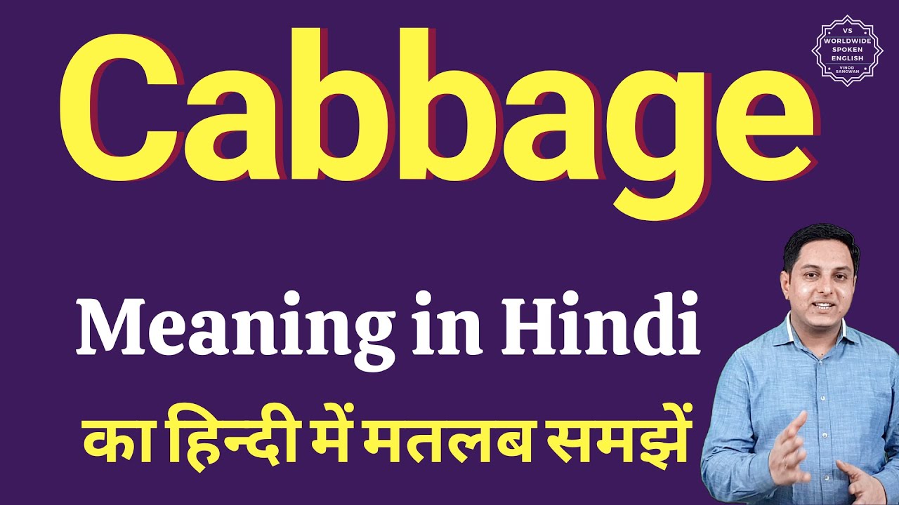 Cabbage meaning in Hindi Cabbage ka kya matlab hota hai online