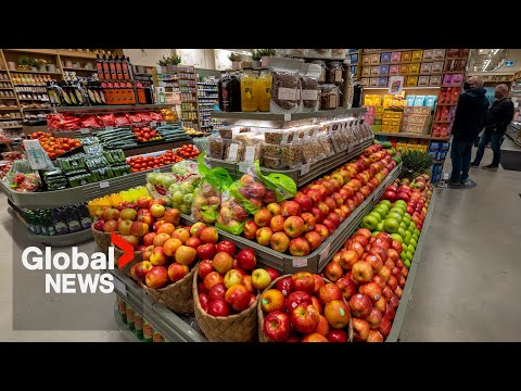 Who is food insecure in Canada New data shows very high need