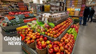 Celebrity Who is "food insecure" in Canada? New data shows "very high" need Profile