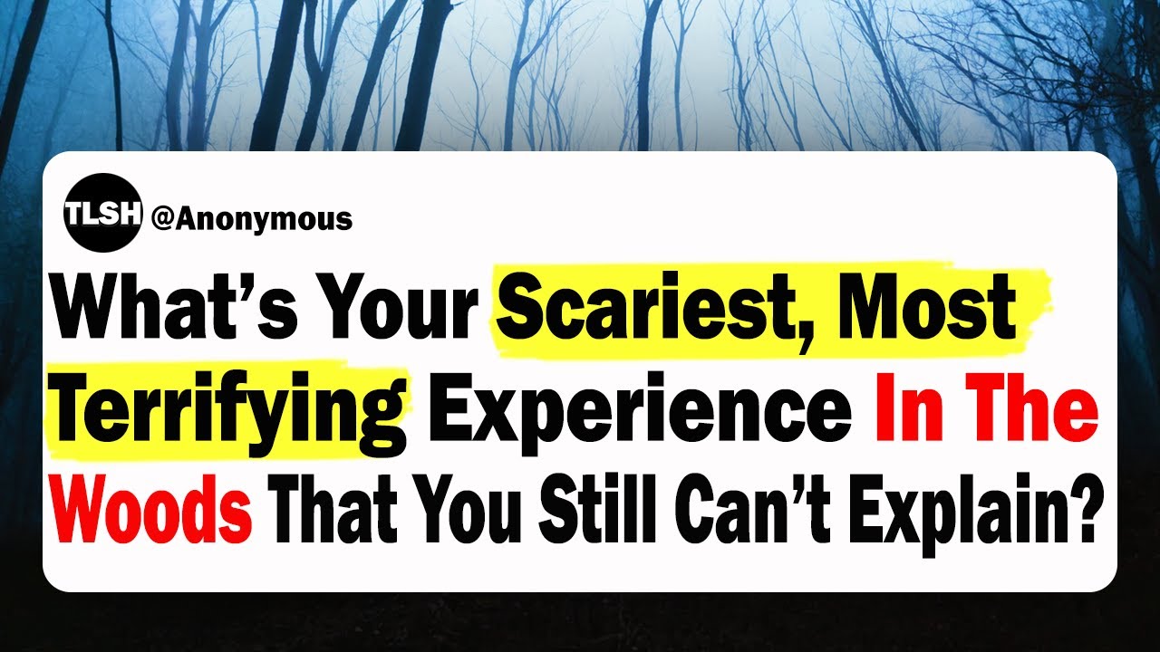 Terrifying Experience What’s Your Scariest, Most Terrifying Experience In The Woods That You ...