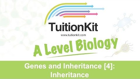 Genes and Inheritance [4]: Inheritance (High band Biology)