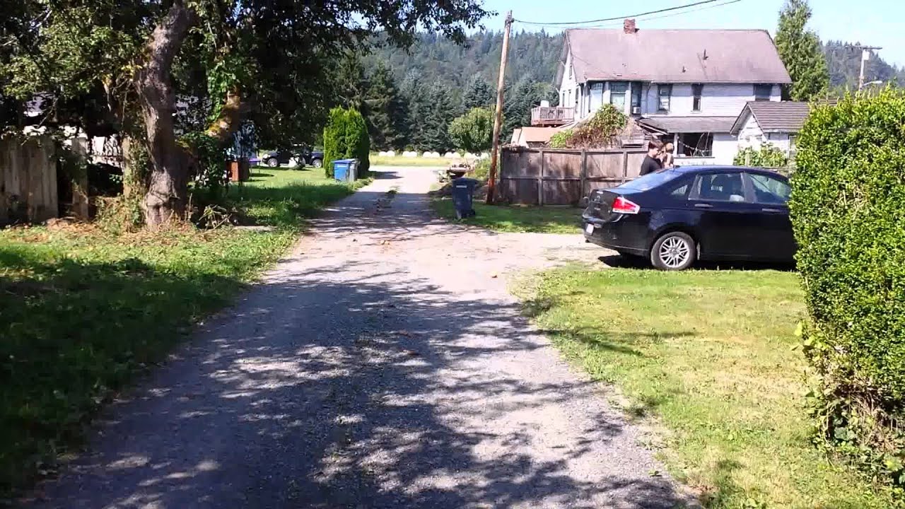 Carnation house on commercial