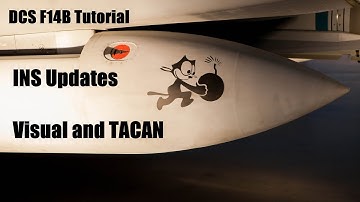 DCS F-14B INS Update Tutorial (Visual and TACAN)