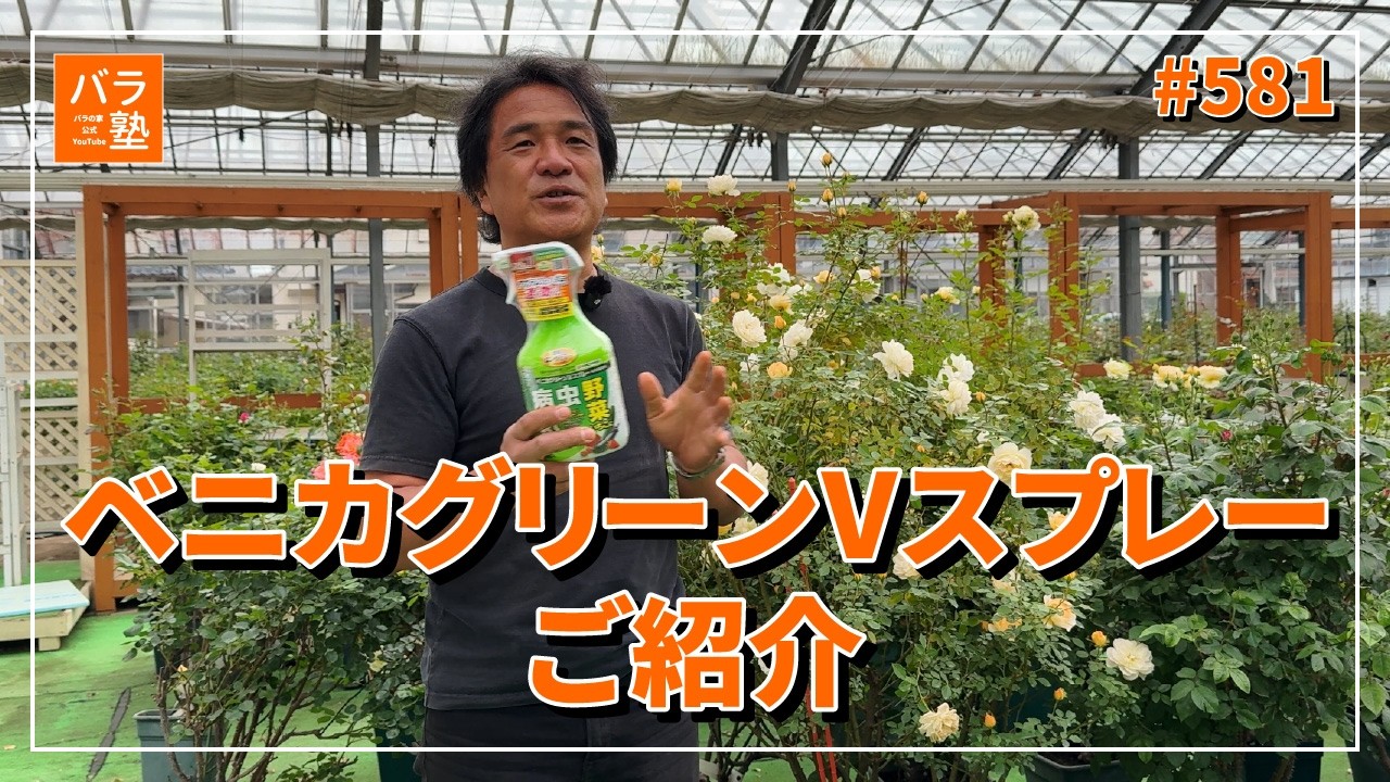 581 Introducing Benica Green V Spray - YouTube