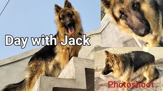 Day with Jack second Saturday 🤠 #viral #dog #animals #germanshepherd