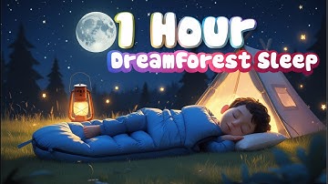 1 Hour DreamForest Sleep • Soft Night Forest & Gentle Lullaby 🌲✨ Nhạc ru ngủ 1 giờ