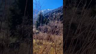 #relaxingnature #mountains #nature #lifeisbutadream #naturesounds #travel #beautiful