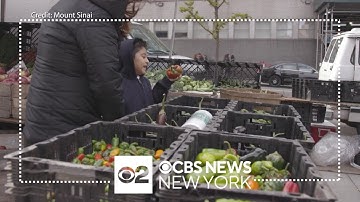 Mount Sinai study shows how socioeconomic status impacts children