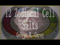 12 zodiacal cell salts fully explained diseases  cures for all zodiac signs astrology cellsalt