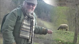 Route de la Vaure  "la laine des moutons" à Firminy 24 janvier 2024