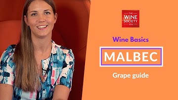 Wine Basics: Malbec: Grape Variety Masterclass
