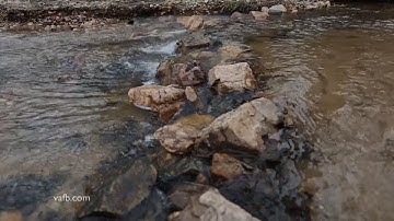 Improving Water Quality for Agriculture