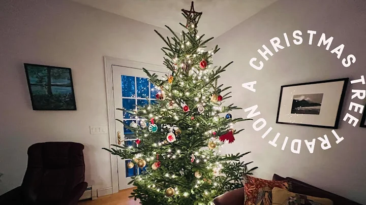 CHRISTMAS TREE FARM - CUTTING OUR OWN CHRISTMAS TREE