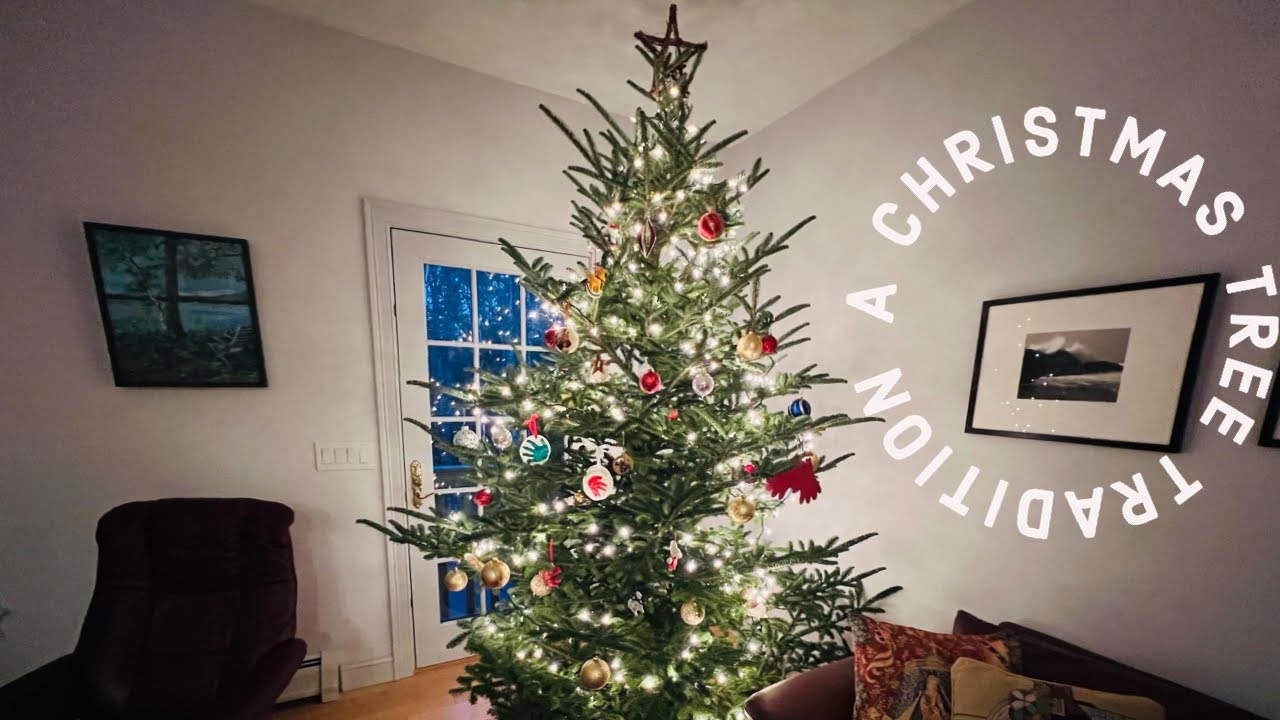 CHRISTMAS TREE FARM - CUTTING OUR OWN CHRISTMAS TREE - YouTube
