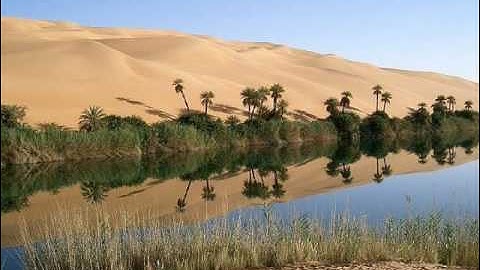ديق المنشاوي - تلاوة من سورة الأحزاب من سوهاج.
