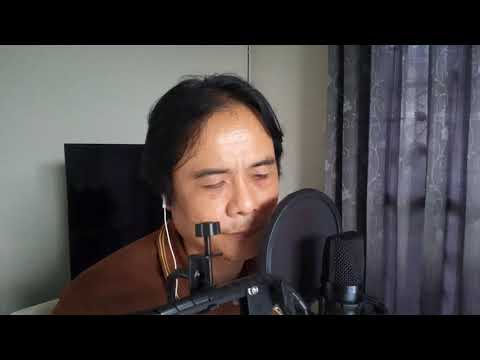 บทเรียนรัก วงชาตรี cover